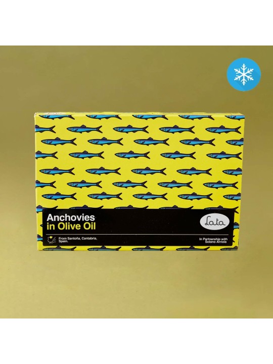 Extra Large Anchovy Fillets in Olive Oil - Lata